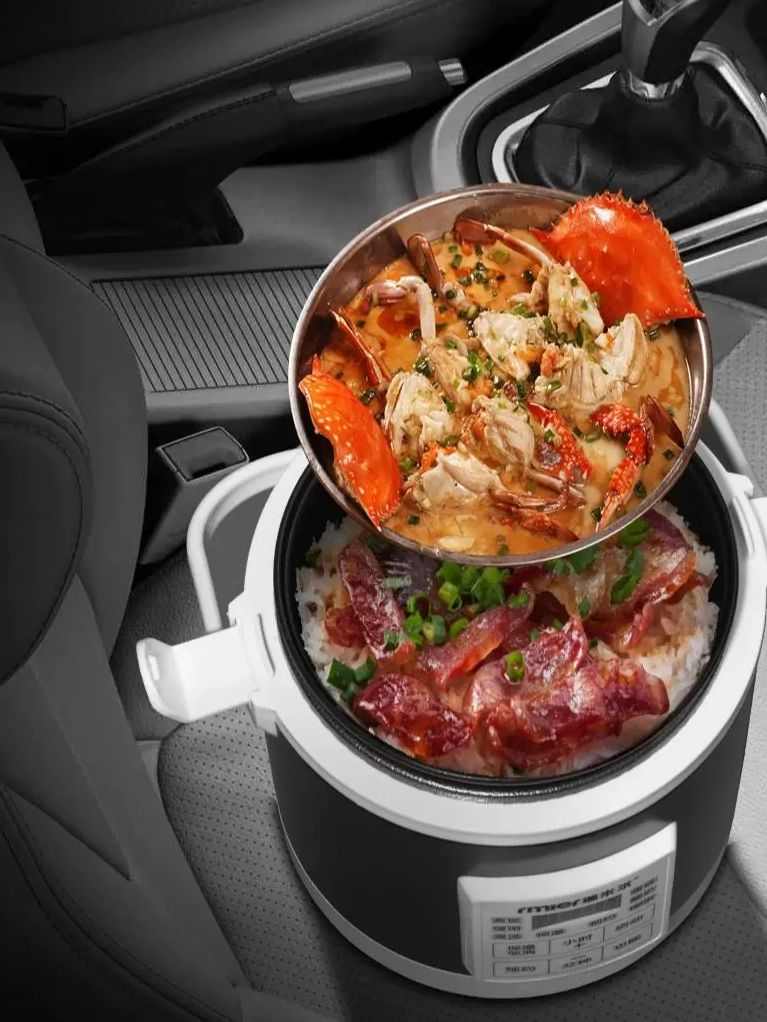 ARIER 12-24V 220V Panela de Ar - Camping Cooking Cup avaliação e preço